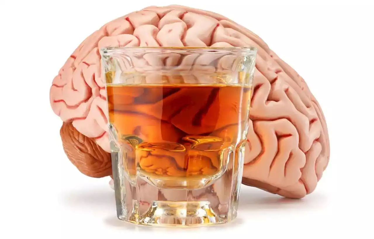 Long-Lasting Brain Changes: Irreversible Neuronal Disruptions From Binge Drinking in Adolescence