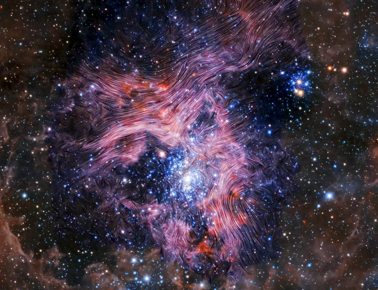 Tarantula Nebula’s Magnetic Maelstrom: Secret Ingredient to Surprising Survival of 30 Doradus