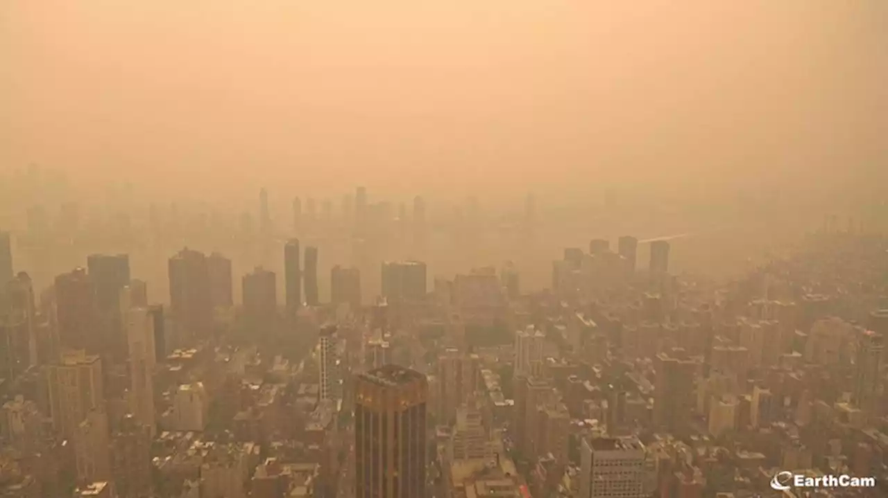 Langit New York Menguning Imbas Kebakaran Hutan di Kanada, Warga Sesak Nafas