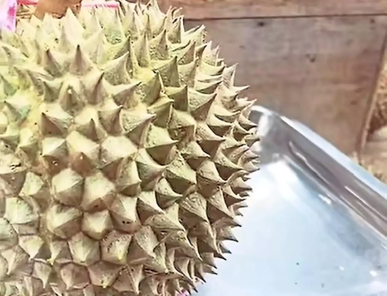 Chinese national’s ‘art’ of eating durian