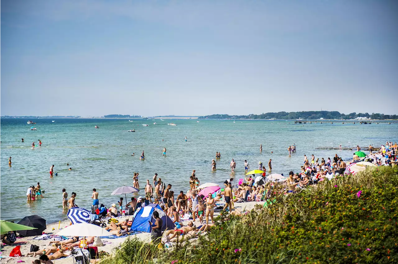 Sol, sol och åter sol – nästa vecka kommer högsommarvärmen