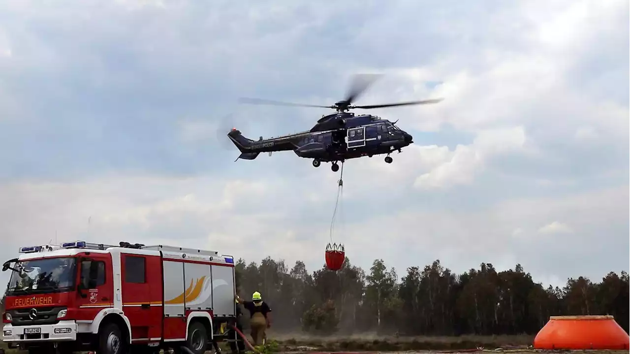 „Es herrscht wieder eine brenzlige Situation“: Waldbrand bei Jüterbog erneut angefacht – nach kurzer Beruhigung