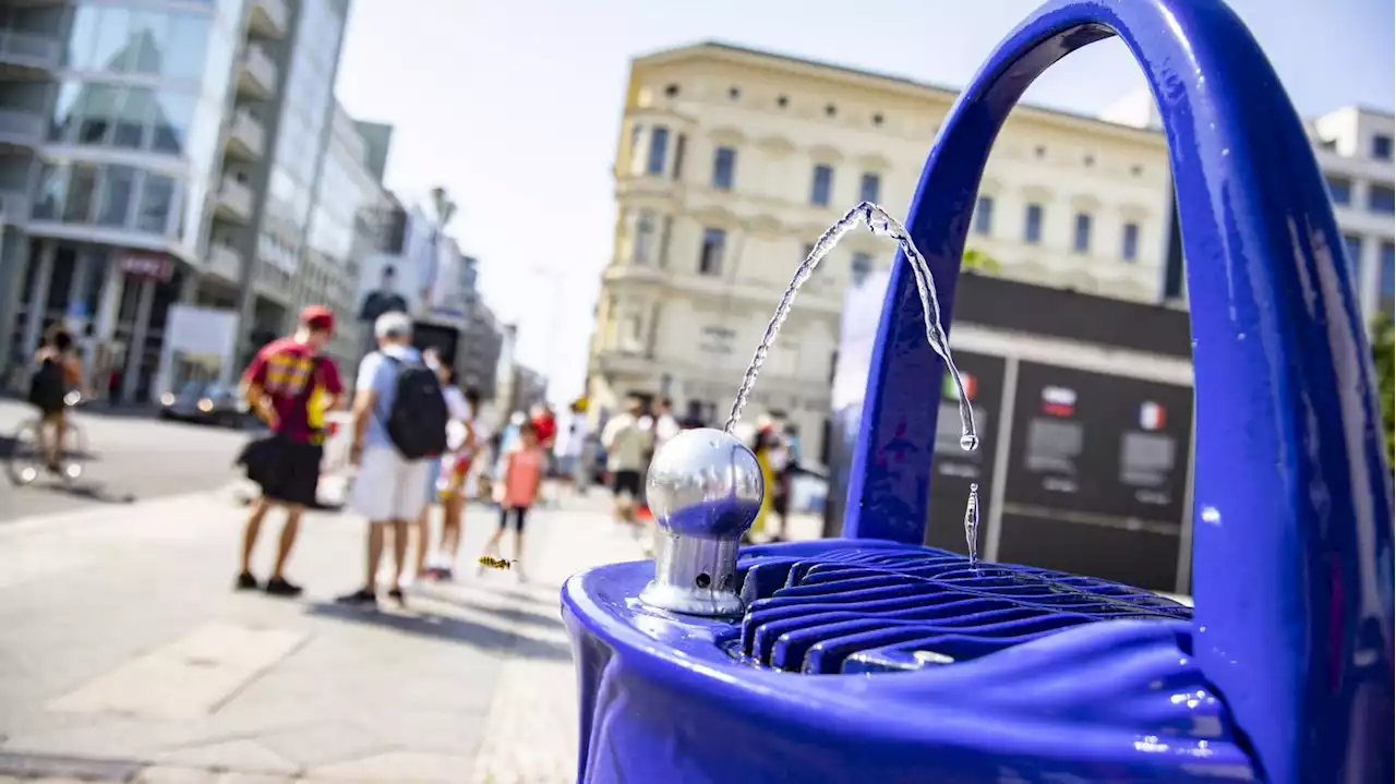 Und läuft und läuft und läuft...: Warum Berlins Trinkbrunnen Tag und Nacht sprudeln