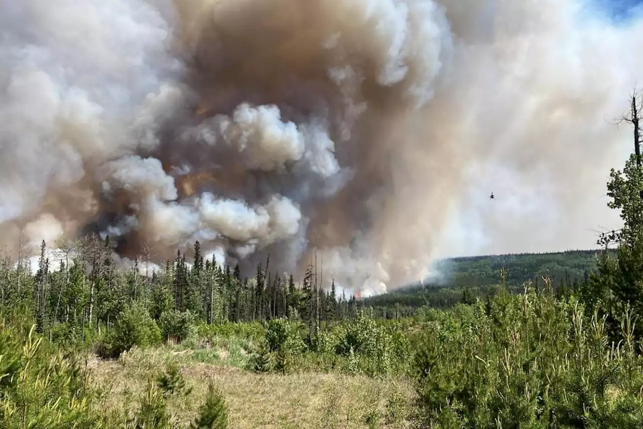 Wildfire creeps close to Tumbler Ridge amid evacuation order - Terrace Standard