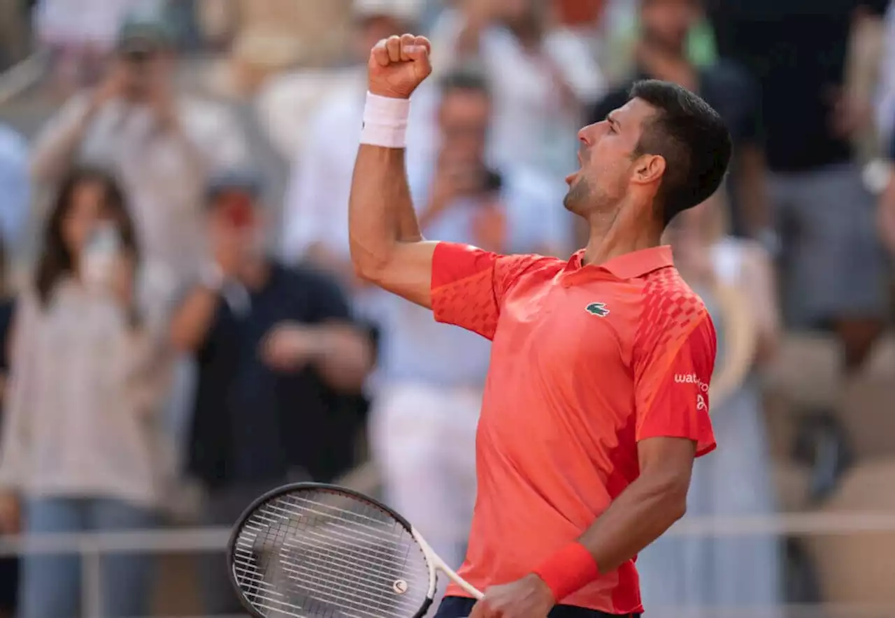 Djokovic takes down Alcaraz in French Open semifinal