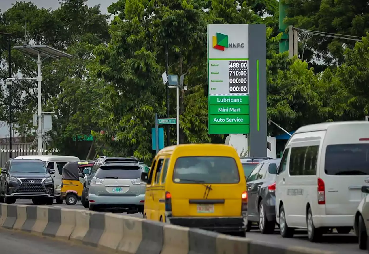 'Those opposing are hypocritical' -- CSOs back Tinubu on petrol subsidy removal | TheCable