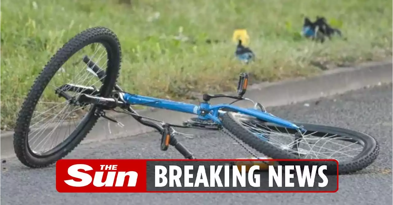 Boy, 12, hit and killed while riding bike as cops arrest man over fatal smash