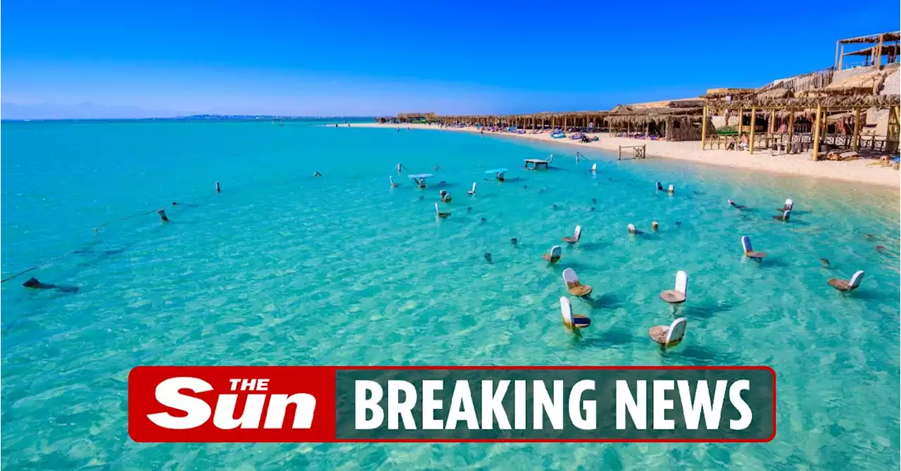 Tourists banned from sea and 46 miles of beaches shut after fatal shark attack