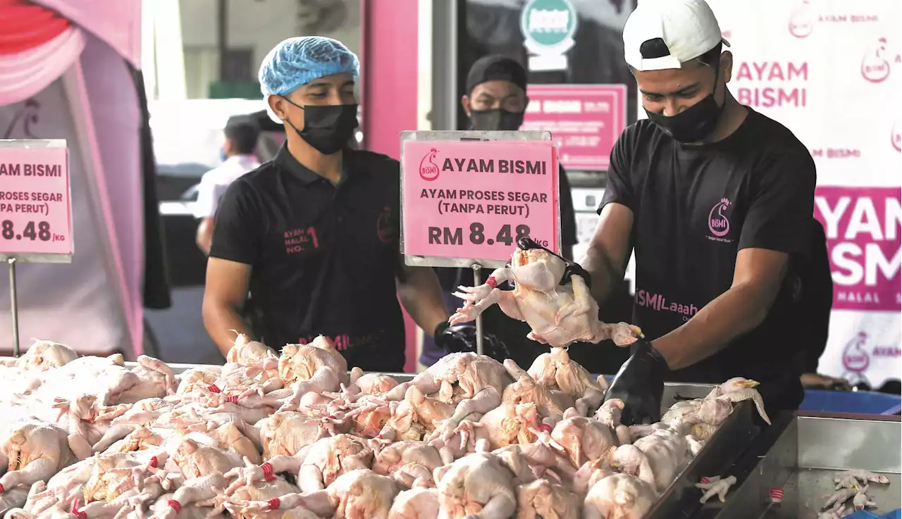 Subsidi, kawalan harga ayam, telur diteruskan selepas 1 Julai