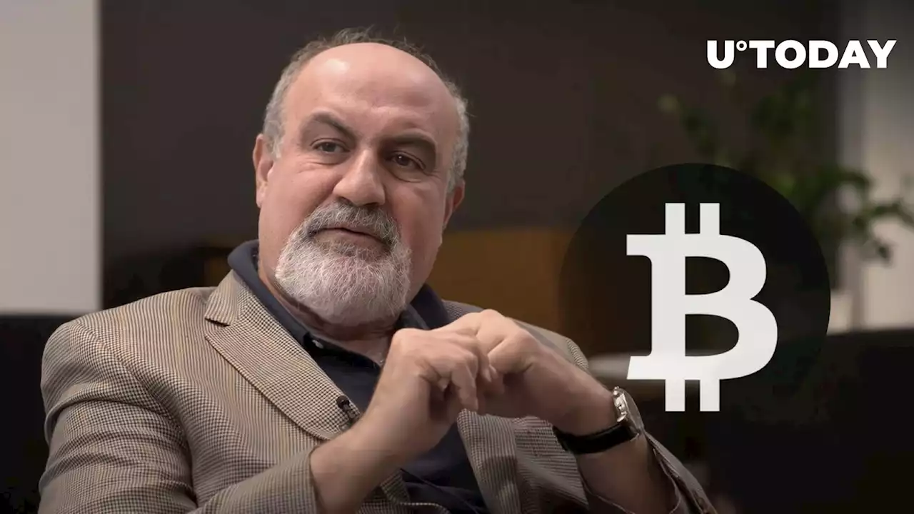 'Black Swan' Author Destroys Bitcoin (BTC): 'Cult-Like, Useless, and Dangerous'