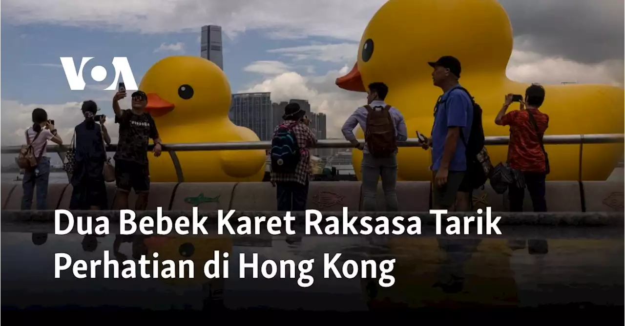 Dua Bebek Karet Raksasa Tarik Perhatian di Hong Kong