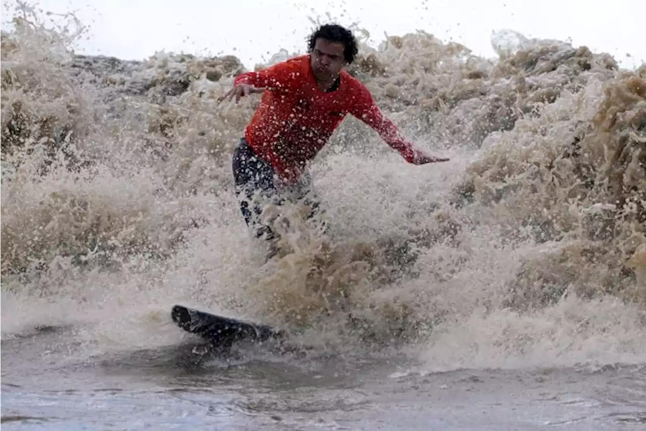 Surfers at Amazon's mouth ride some of world's longest-lasting waves