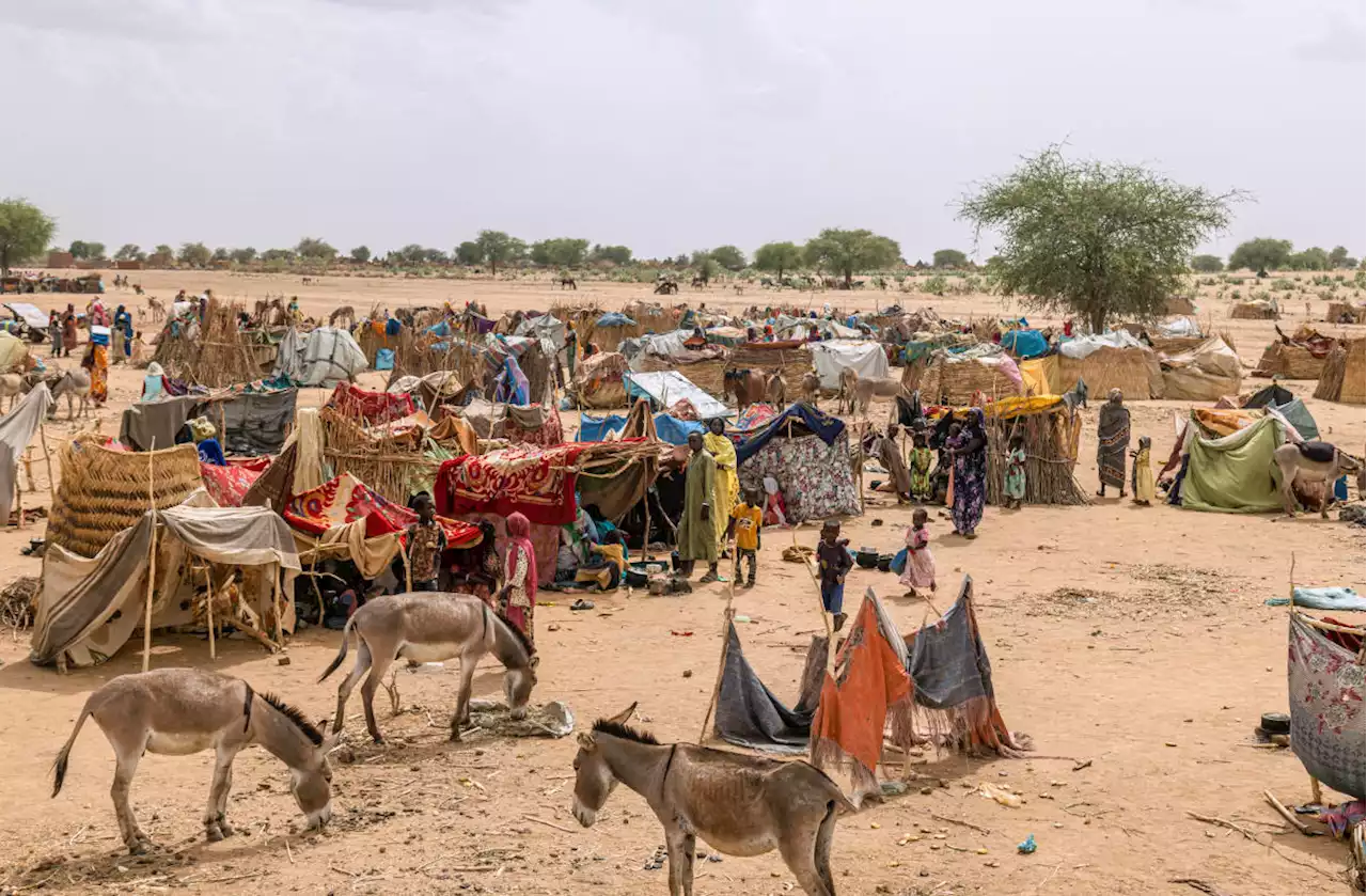 A ‘Dystopian Nightmare’ Unfolds in Sudan’s Battered Darfur Region