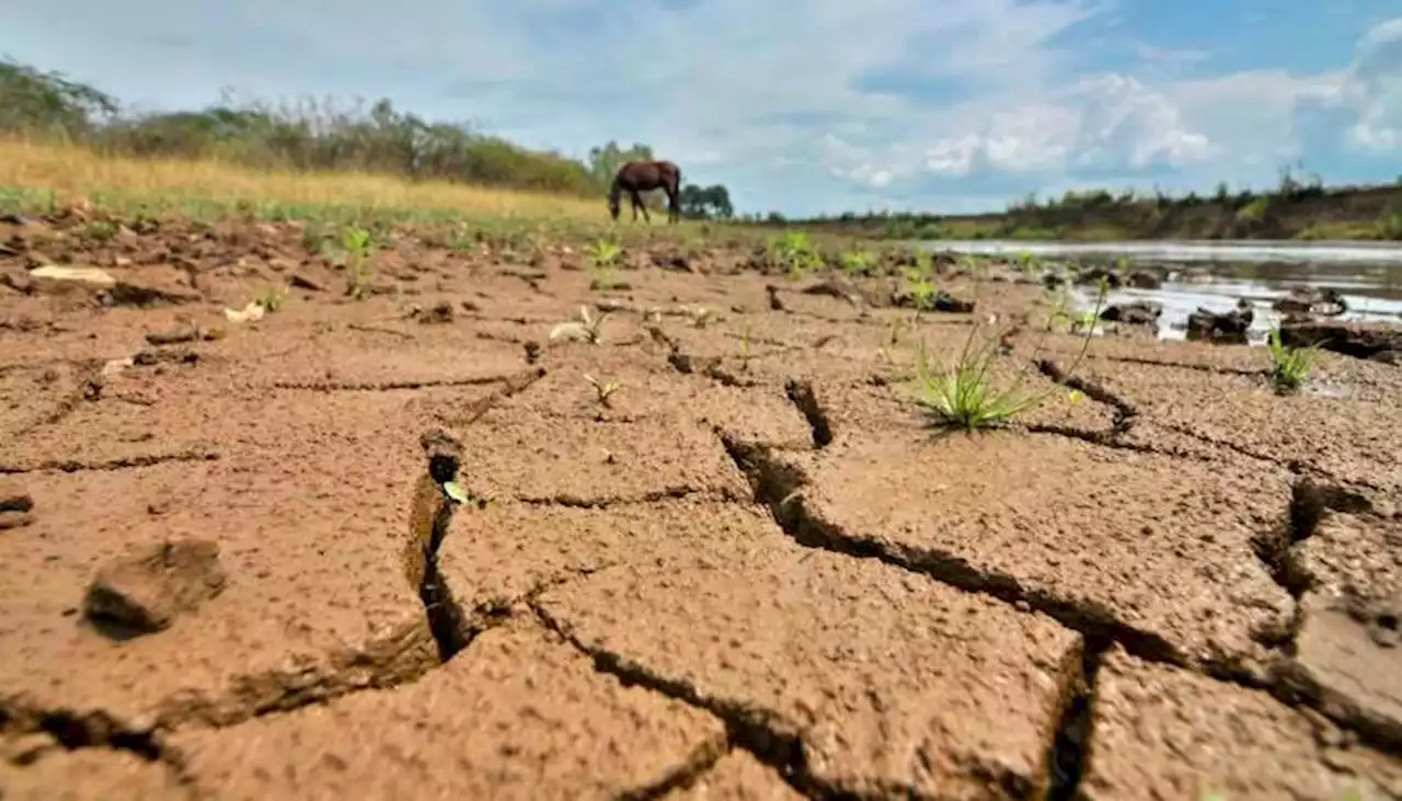 El Fenómeno del Niño ya es una realidad, según NOAA de Estados Unidos