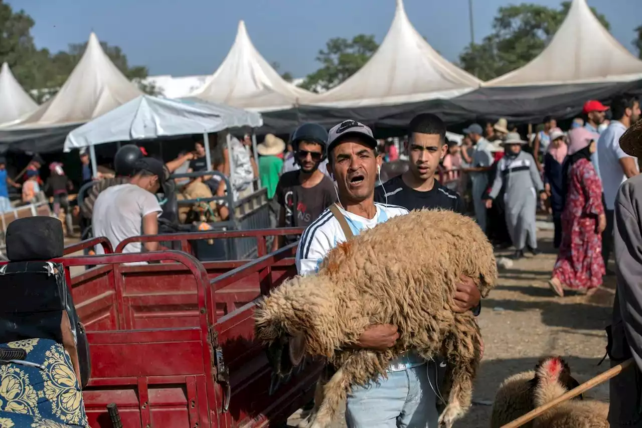 المغرب: نفقات الأسر بمناسبة عيد الأضحى تتخطى 1.8 مليار دولار