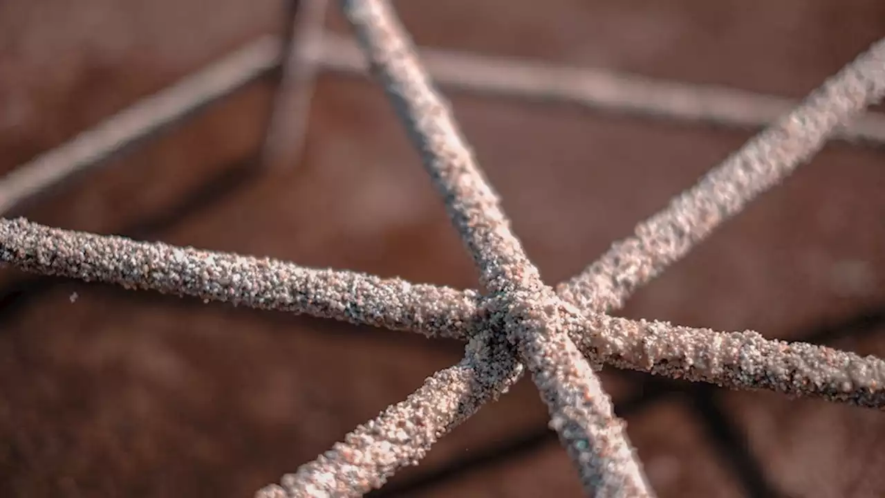 After a decade of bleaching and cyclone damage, coral shoots of recovery are emerging