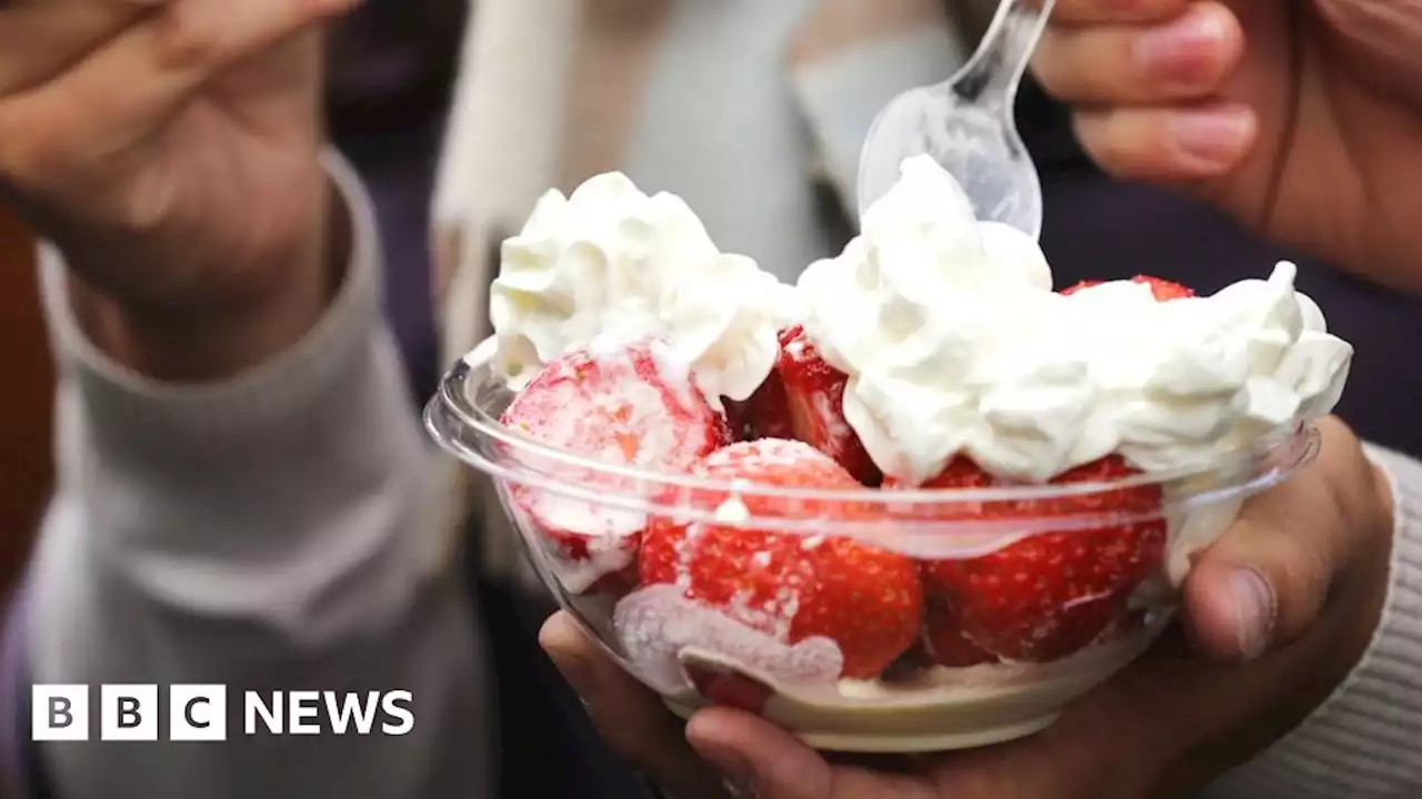 The quest to grow the perfect strawberry