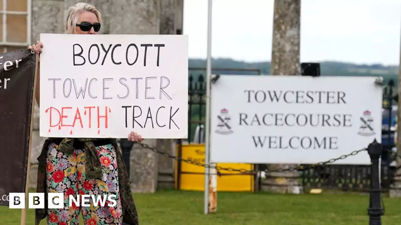 Animal rights activists try to disrupt Towcester greyhound race