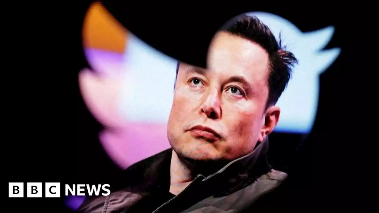 Twitter temporarily restricts tweets users can see, Elon Musk announces