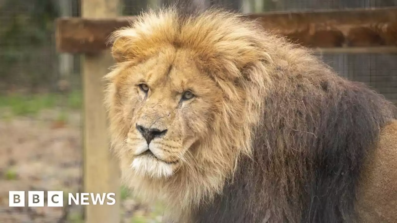 Paignton Zoo celebrates 100th anniversary