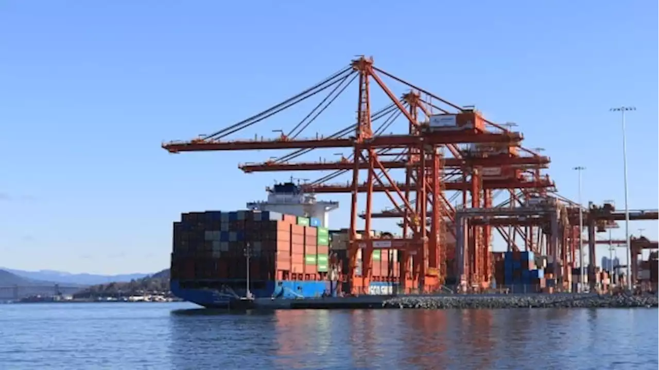 B.C. port workers go on strike, potentially impacting global shipping flows | CBC News