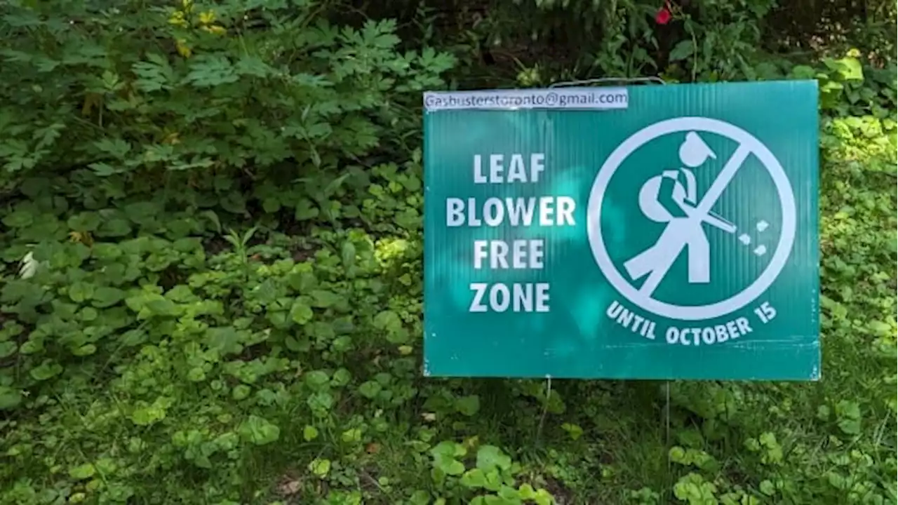 Toronto looking to ban gas-powered leaf blowers to reduce noise and air pollution | CBC News