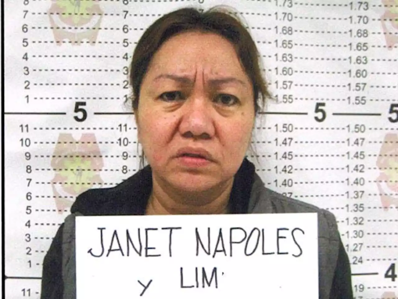 Sandiganbayan convicts Napoles, ex-Davao lawmaker for graft over PDAF