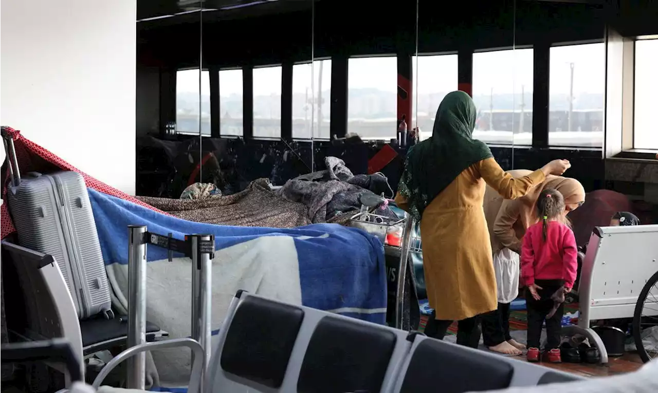 Afegãos acampados no Aeroporto de Guarulhos serão levados para Praia Grande, no litoral de SP