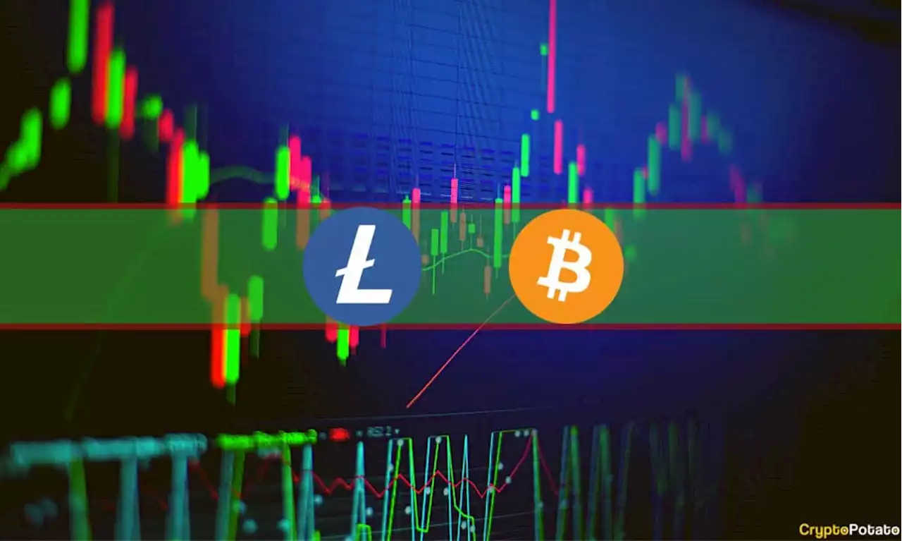 Litecoin (LTC) Soars to 14-Month High Above $100, Bitcoin (BTC) Reclaims $30K (Weekend Watch)