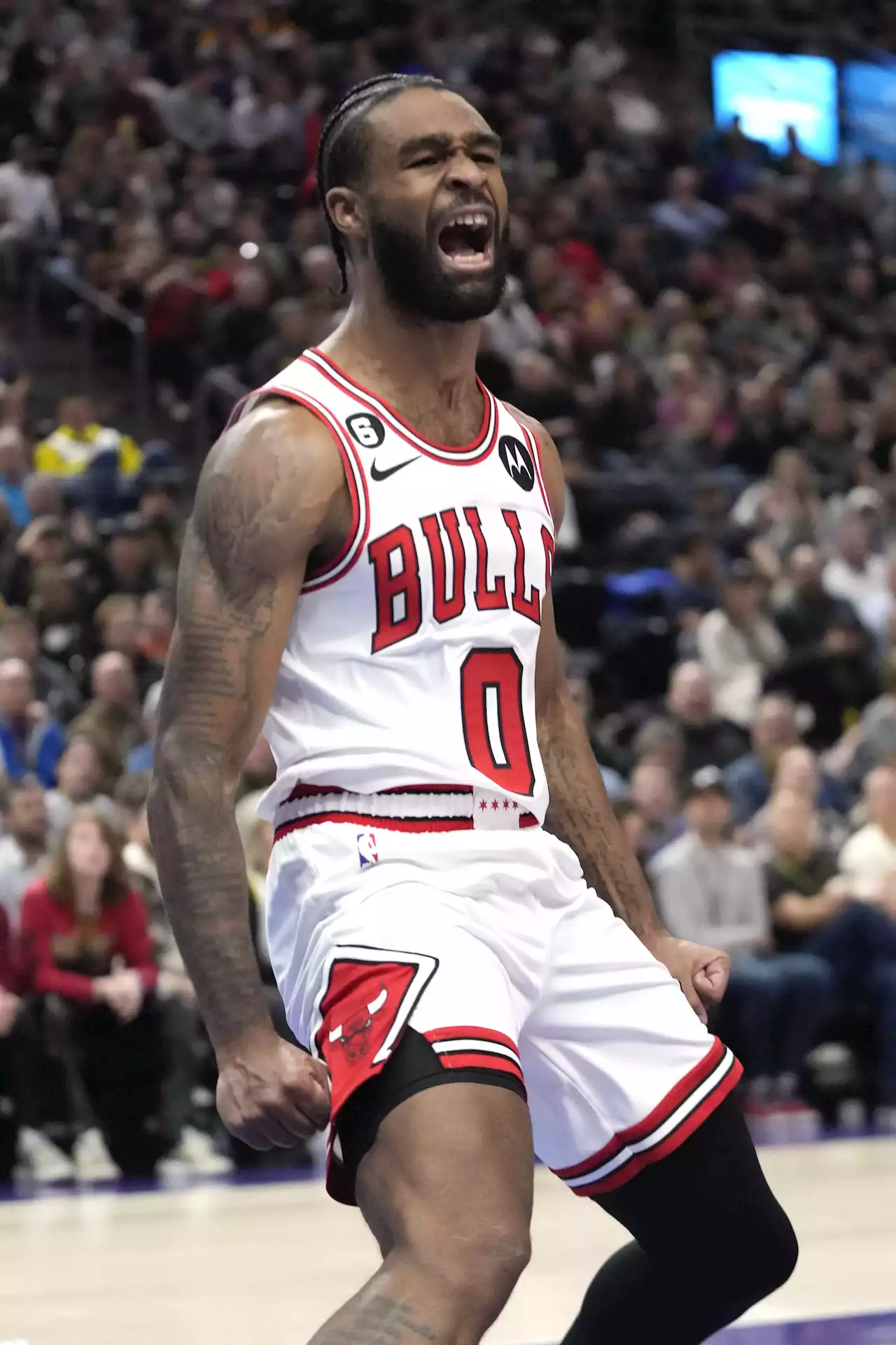 Bulls quickly agree to new deal with White; add local point guard Carter