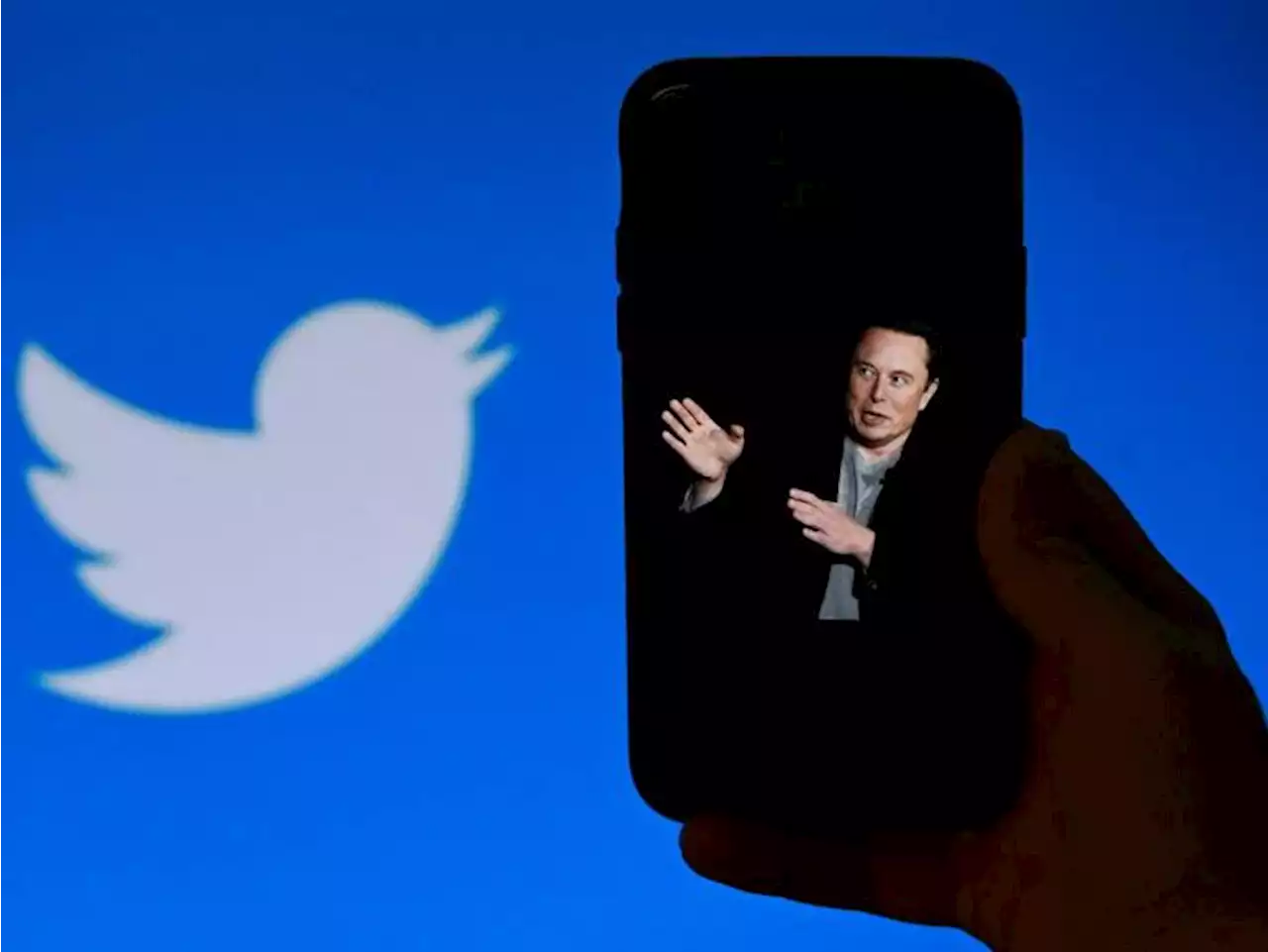 Musk: límite de visionado de 6.000 mensajes para Twitter