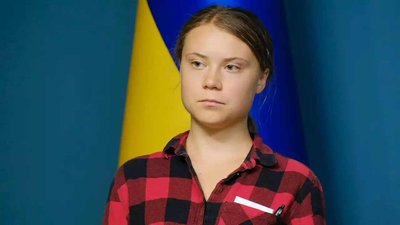 Climate activist Greta Thunberg latest world leader to meet with Ukrainian president