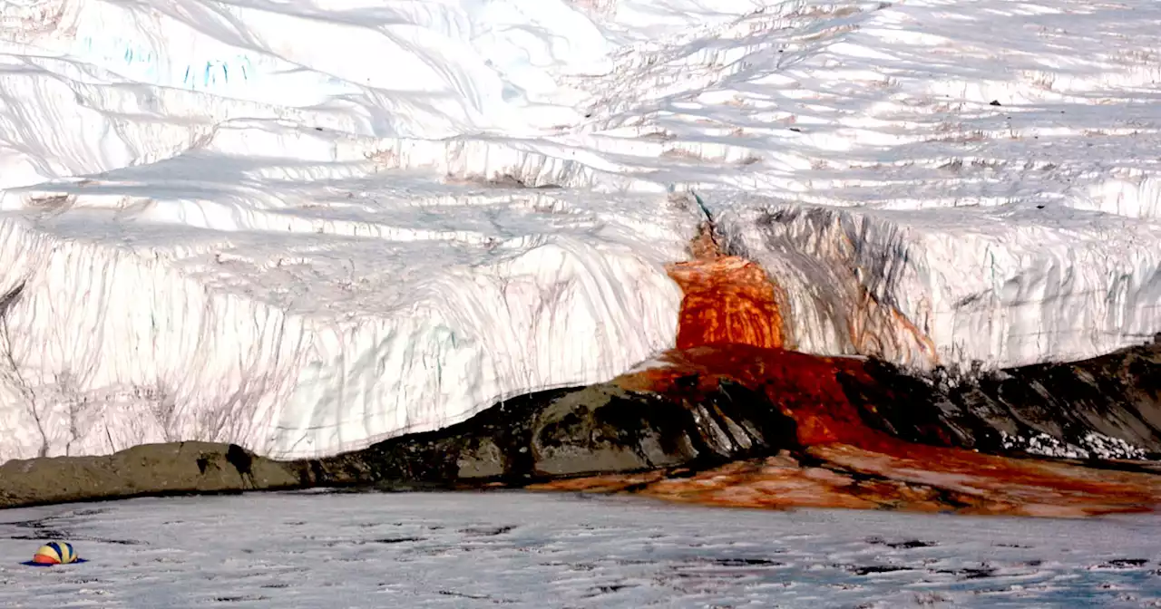 Scientists Intrigued by Glacier Bleeding Red Fluid