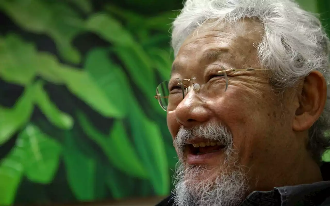 How I spent my summer: David Suzuki