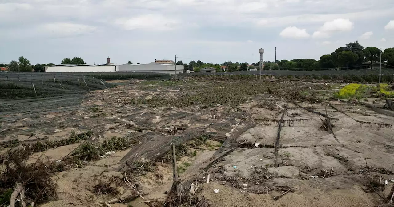 'In Romagna l'uomo ha tradito sé stesso, non la natura”. Parla Maurizio Maggiani