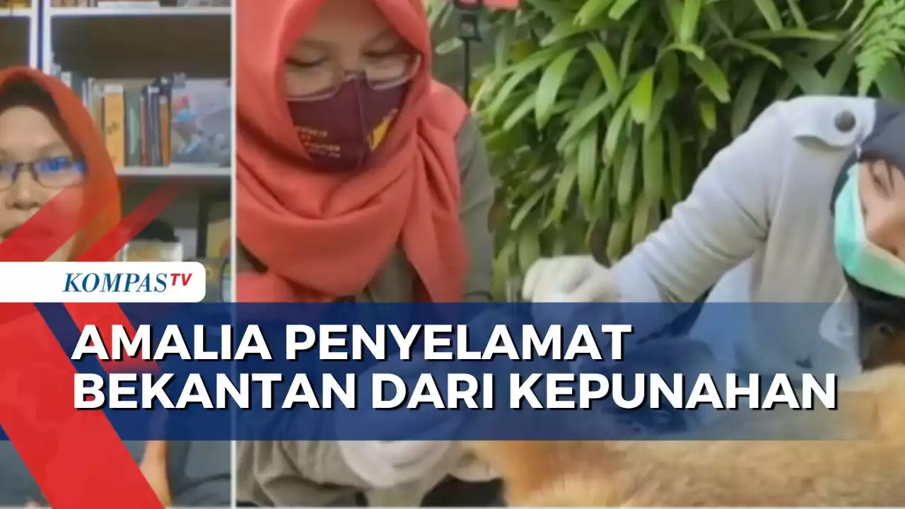 Sosok Amalia Rezeki, Aktivis Penyelamat Bekantan di Kalimantan dari Kepunahan