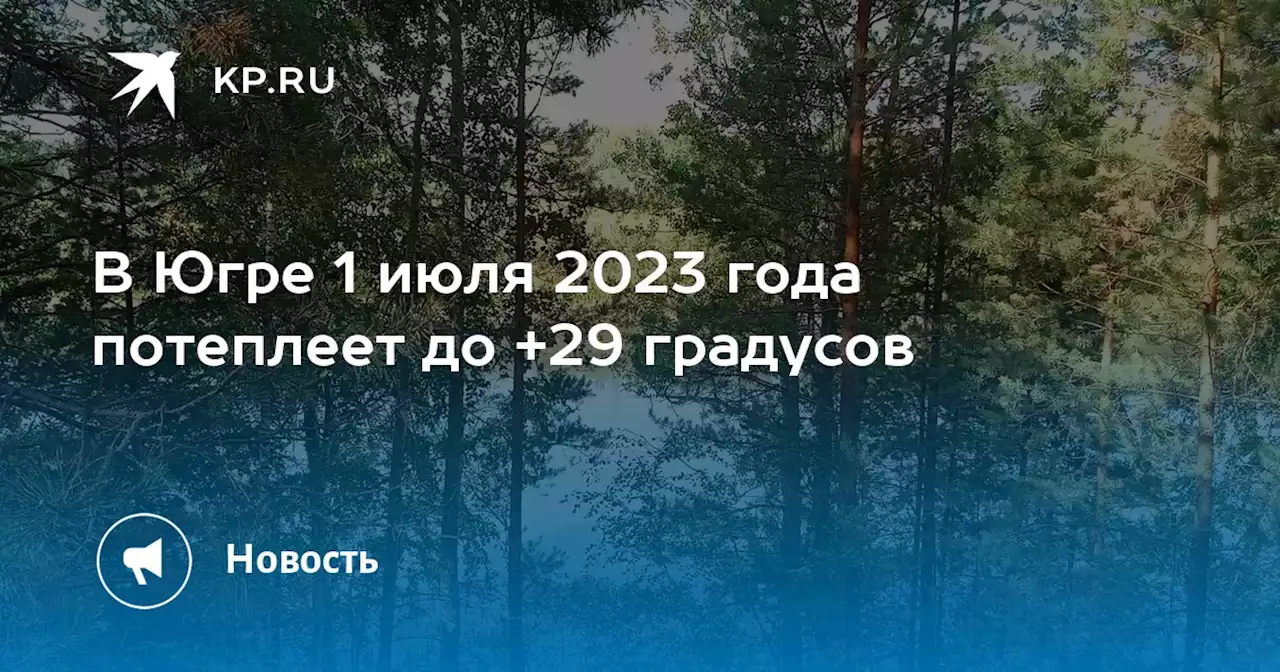 В Югре 1 июля 2023 года потеплеет до +29 градусов