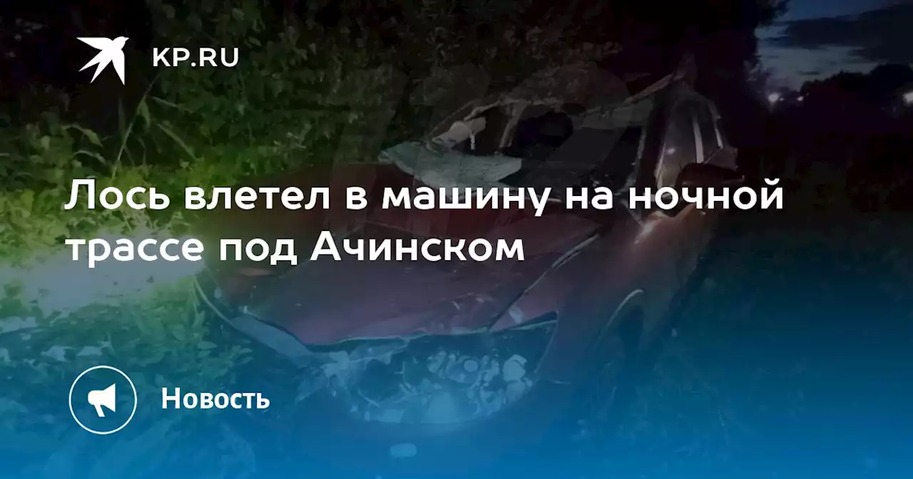 Лось влетел в машину на ночной трассе под Ачинском