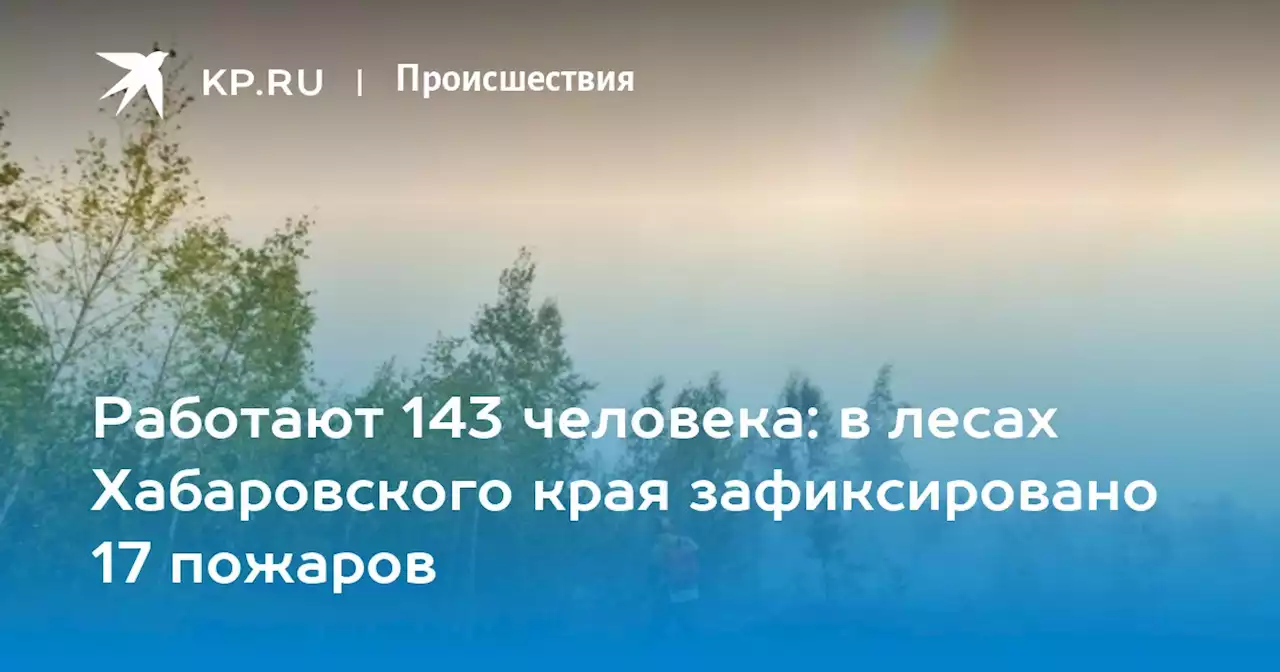 Работают 143 человека: в лесах Хабаровского края зафиксировано 17 пожаров