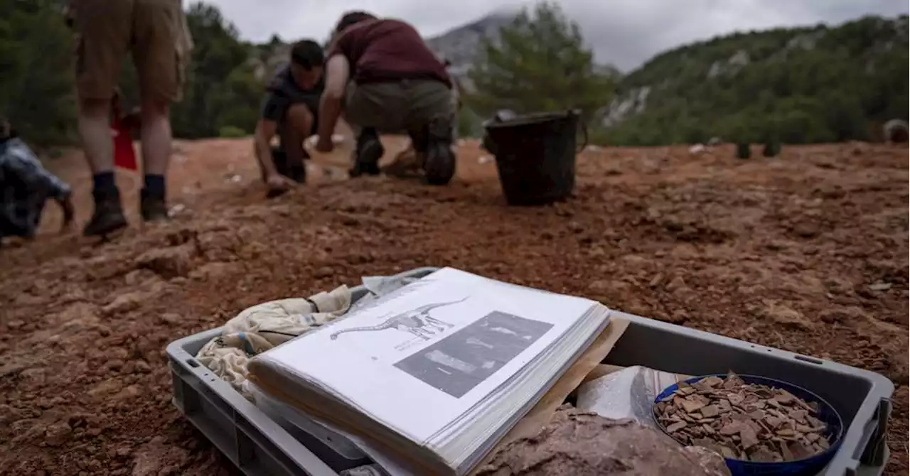 Des centaines de fossiles d'oeufs de dinosaures dénichés sur la Sainte-Victoire