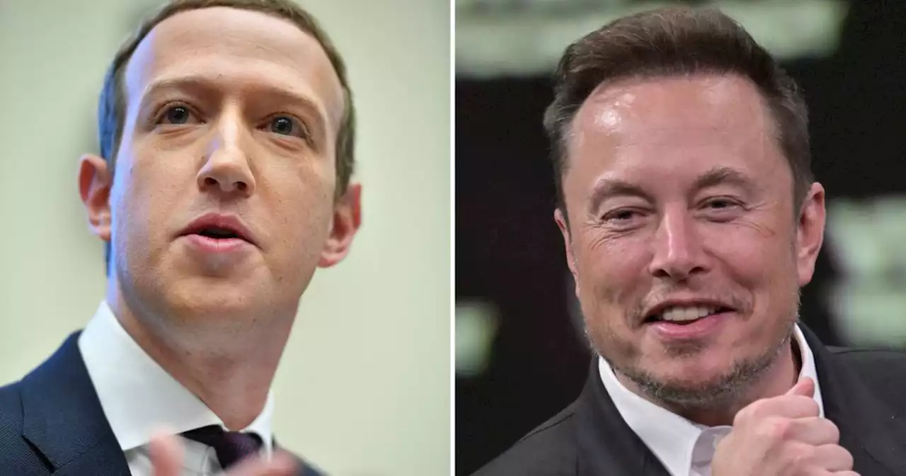 Mark Zuckerberg - Elon Musk : l'affrontement qui vient