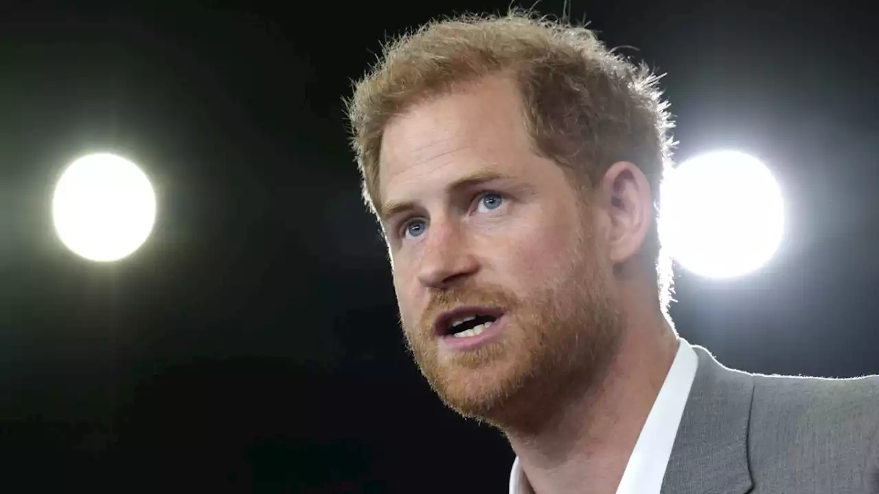 Prince Harry Planning a Netflix Documentary About Africa Without Meghan Markle