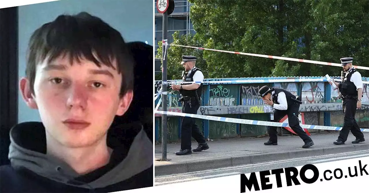 Boy, 17, found dead in canal with stab wounds is named and pictured