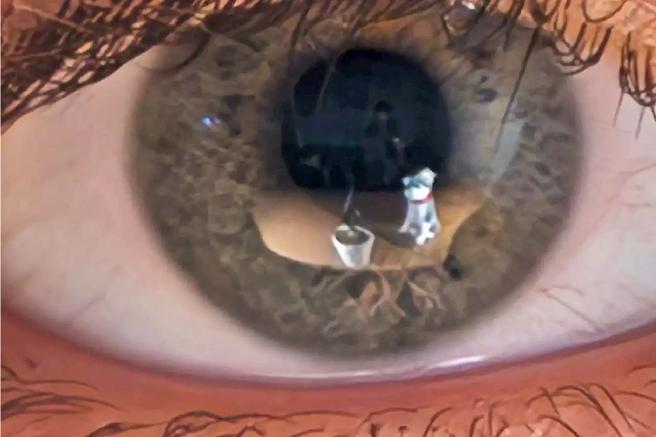 Eyeball reflections can reveal a 3D model of what you are looking at