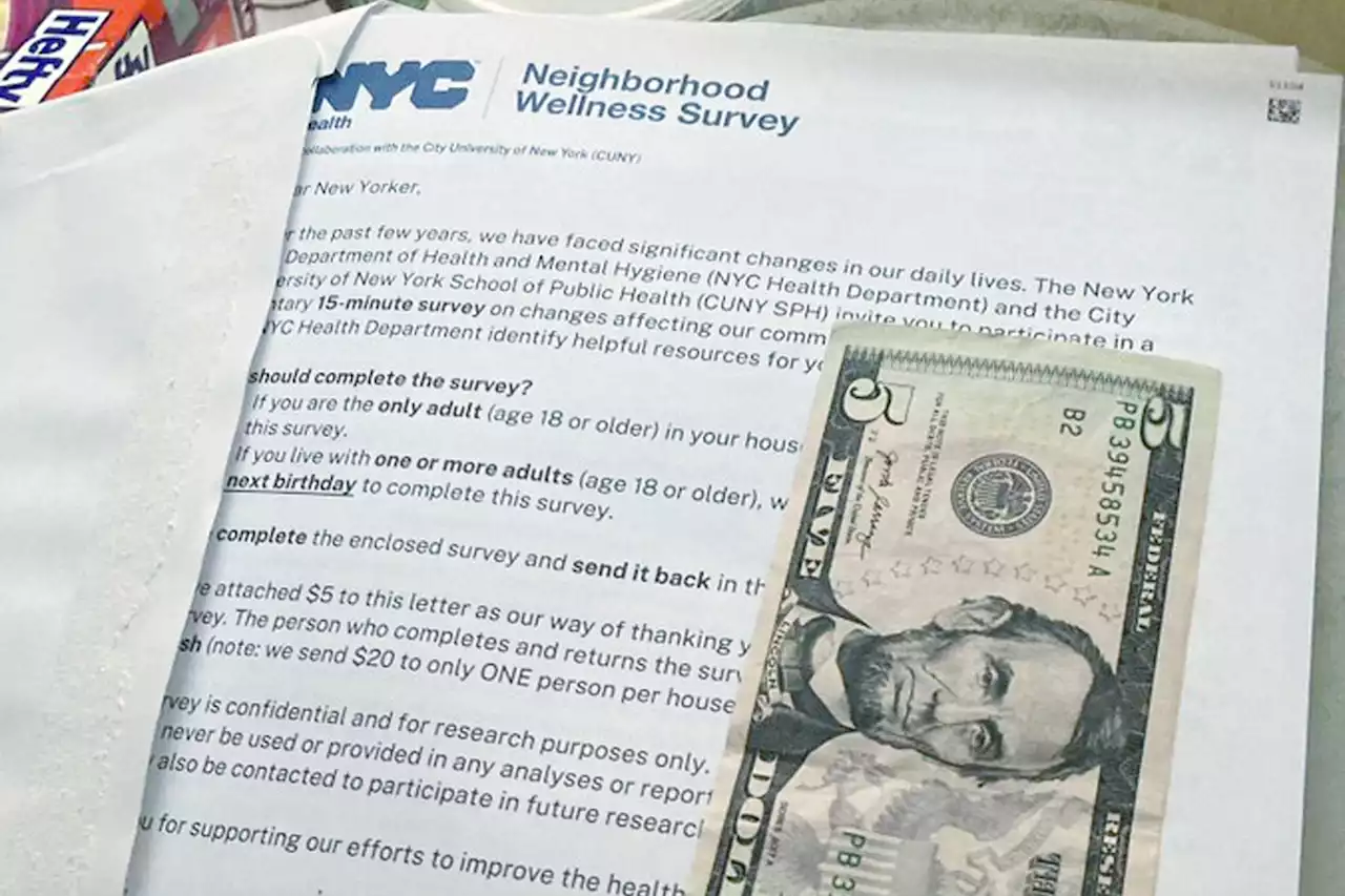 NYC spent $9M in taxpayer dollars sending $5 bills with surveys: ‘Throwing our money away’