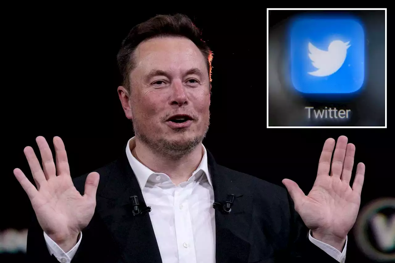 Twitter requiring users to log in to view tweets after Elon Musk cites ‘emergency measure’