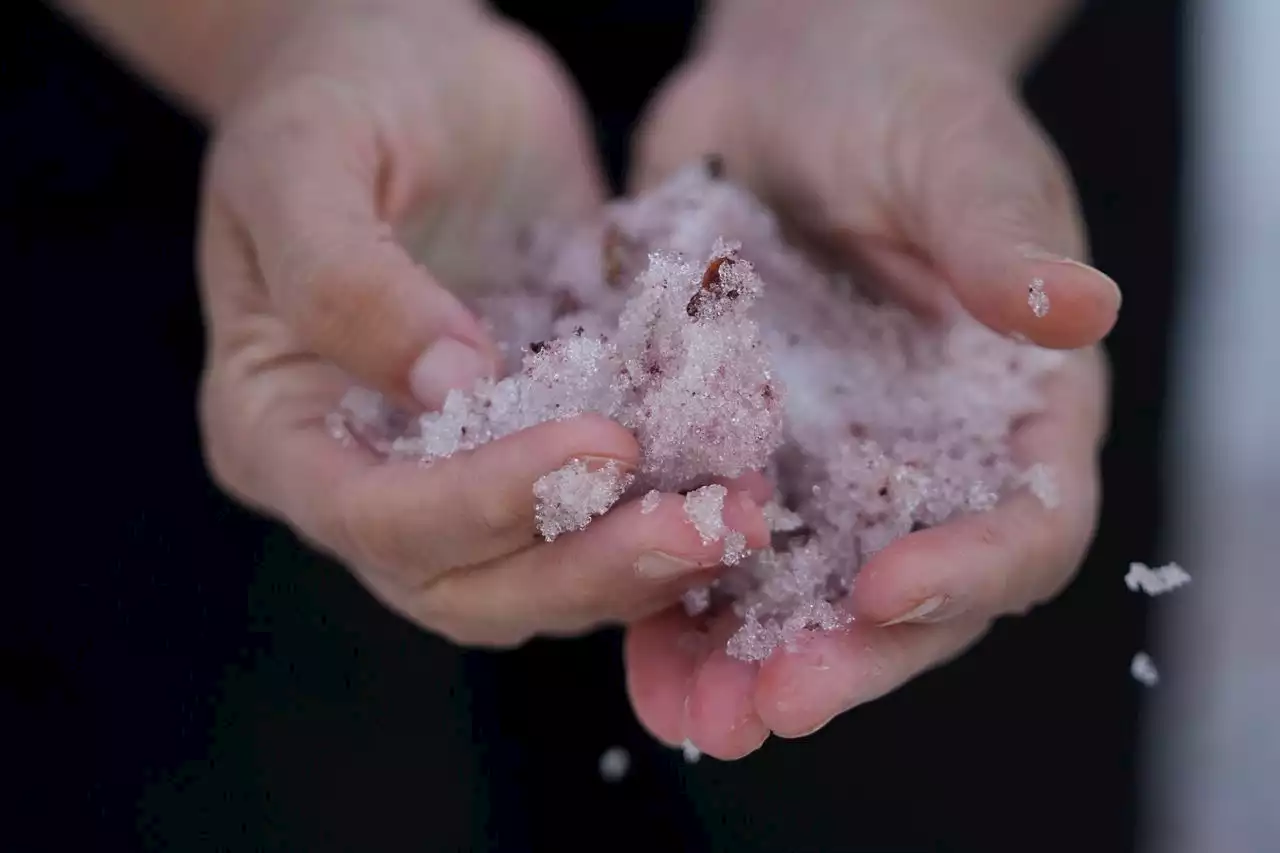 Pink snow piques curiosities in Utah