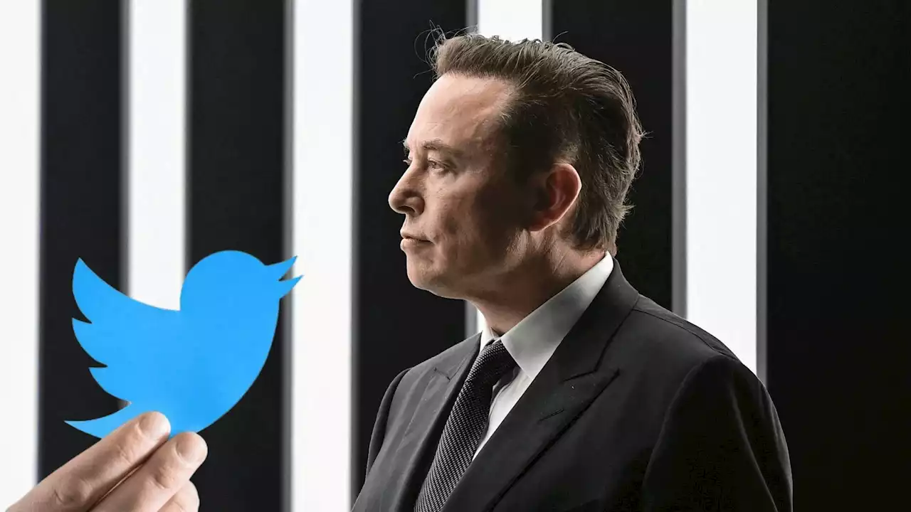 Elon Musk anuncia que Twitter agora limita publicações vistas por usuários