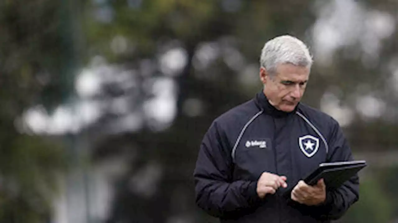 Botafogo oficializa a saída do técnico Luis Castro