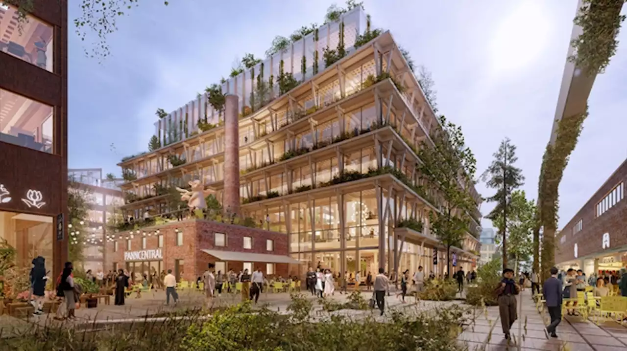 Sweden Is Building the World’s Largest Wooden City